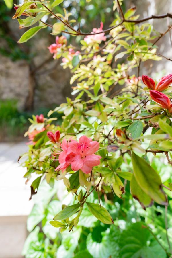 The Secret Terrace - Apartment In The Historic Center Lesa Extérieur photo